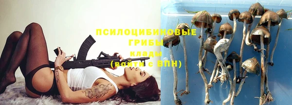 индика Саяногорск