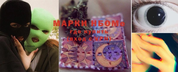 индика Саяногорск