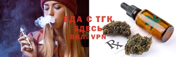 индика Саяногорск