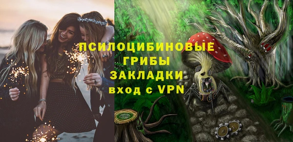 индика Саяногорск