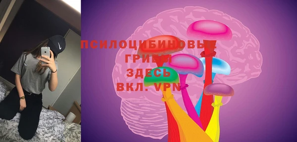 мяу мяу мука Сатка