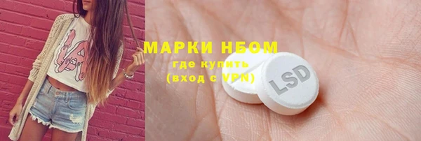 индика Саяногорск
