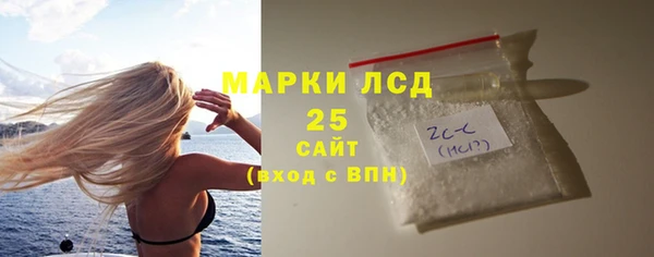 индика Саяногорск