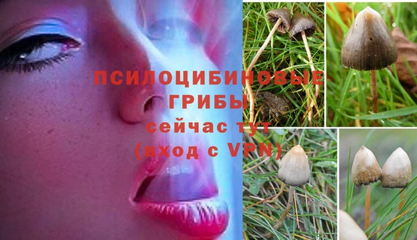 а пвп мука Абинск