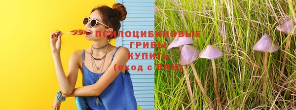 тгк Сафоново
