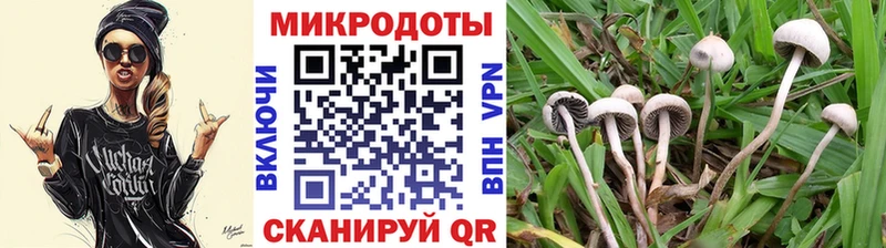 Галлюциногенные грибы MAGIC MUSHROOMS  Дальнереченск 