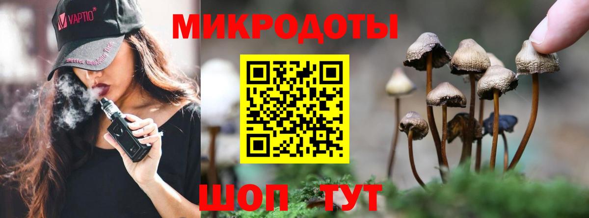 Дальнереченск  Псилоцибиновые грибы ЛСД  Вход с VPN 
